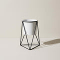 Kensington London black iron tripod plant stand with white pot on pale limestone