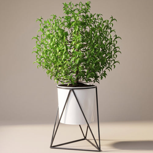 Plant stand holding a potted plant, three-quarter view