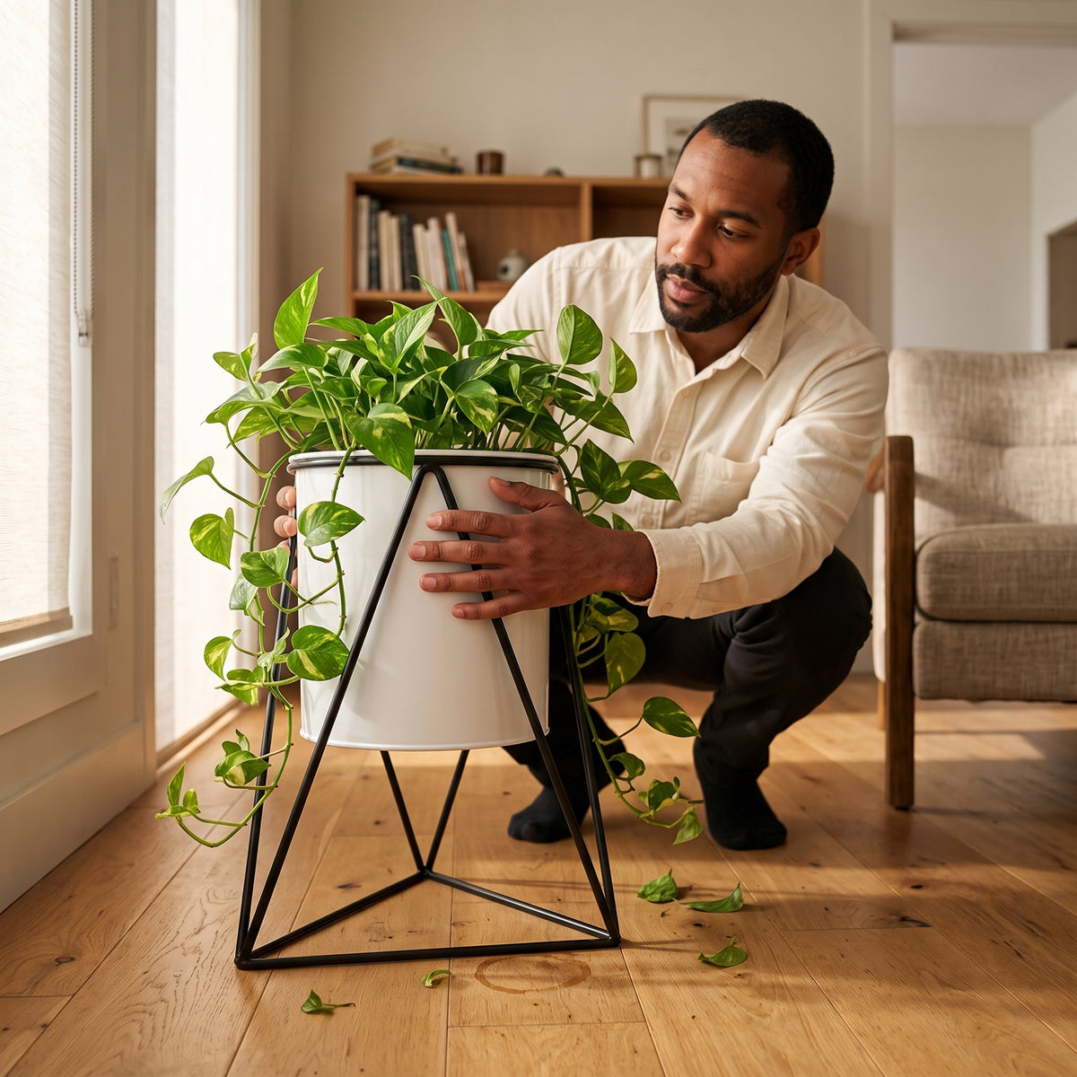 Turning the potted plant towards the window light